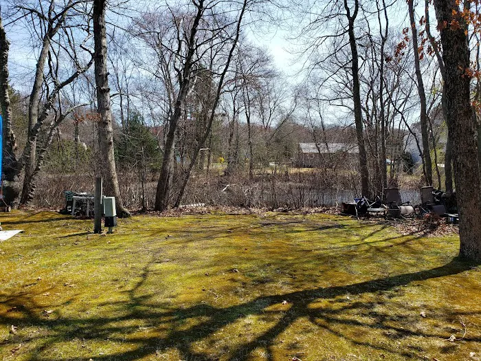 The Island RV Park Picture 5