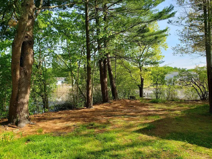 The Island RV Park Picture 3