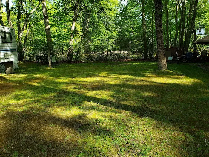 The Island RV Park Picture 7