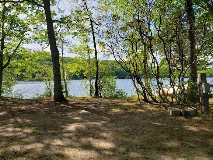 The Island RV Park Picture 9