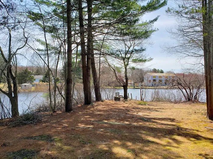 The Island RV Park Picture 8