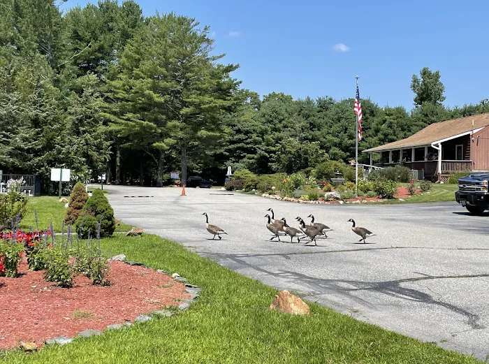 Aces High RV Park Picture 1