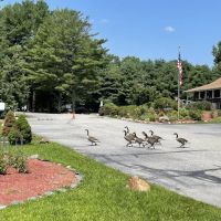 Aces High RV Park ico