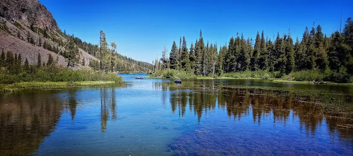 Old Shady Rest Campground Picture 3