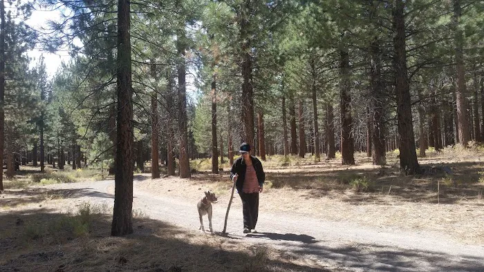 Old Shady Rest Campground Picture 1