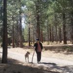 Old Shady Rest Campground