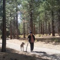 Old Shady Rest Campground ico