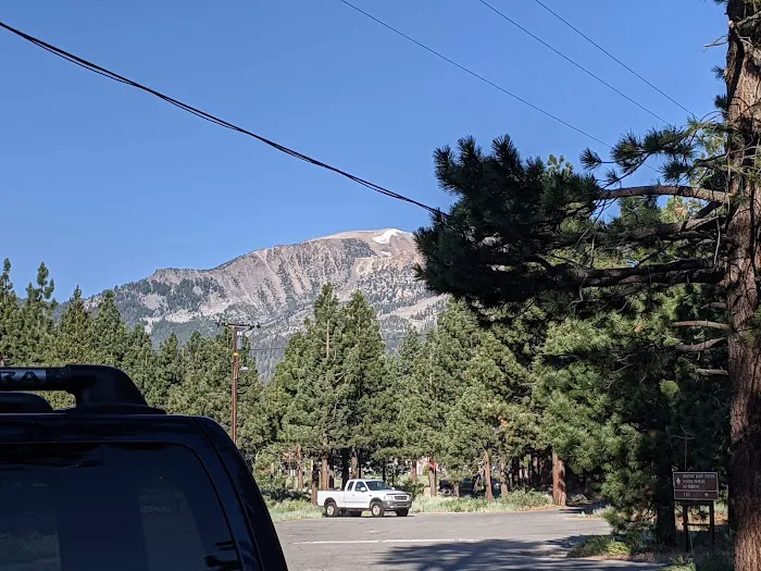 Old Shady Rest Campground Picture 9