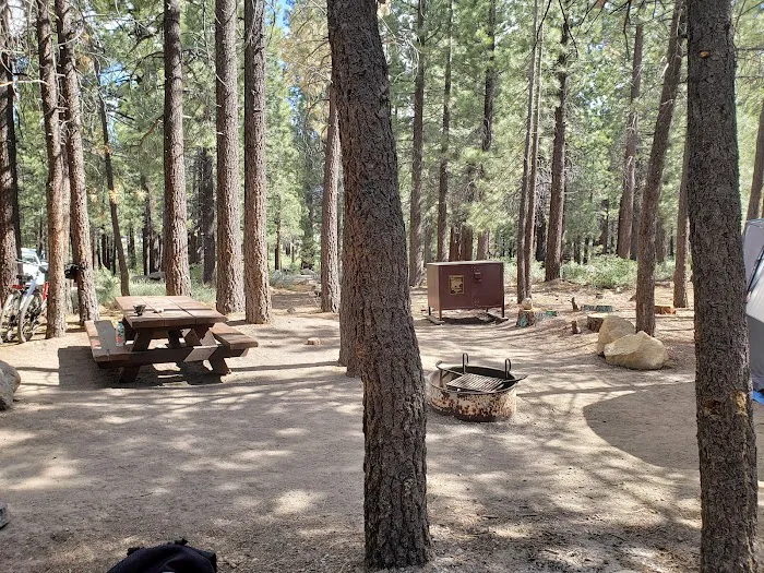 New Shady Rest Campground Picture 3