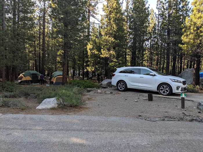 New Shady Rest Campground Picture 5