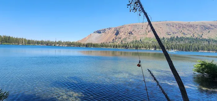 New Shady Rest Campground Picture 10