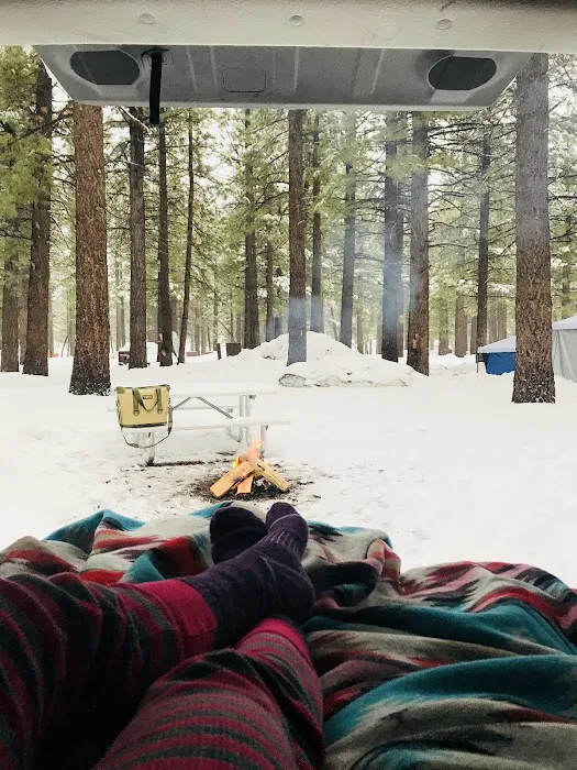 Mammoth Campground Picture 8