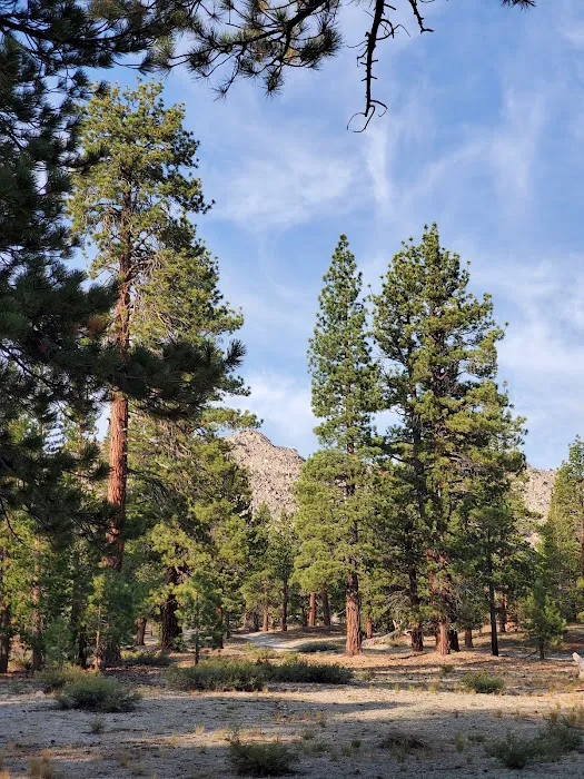 Lower Deadman Campground Picture 2