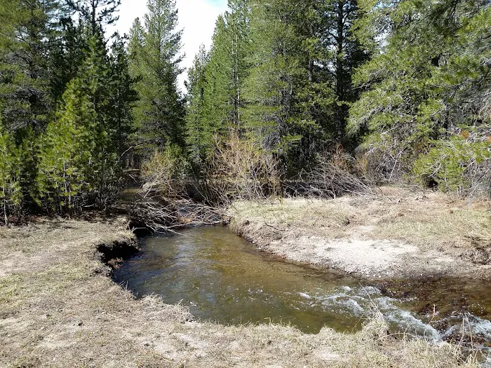 Lower Deadman Campground Picture 3