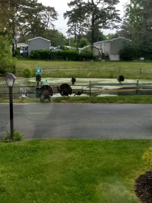 Riverwoods Mobile Home Community Picture 3