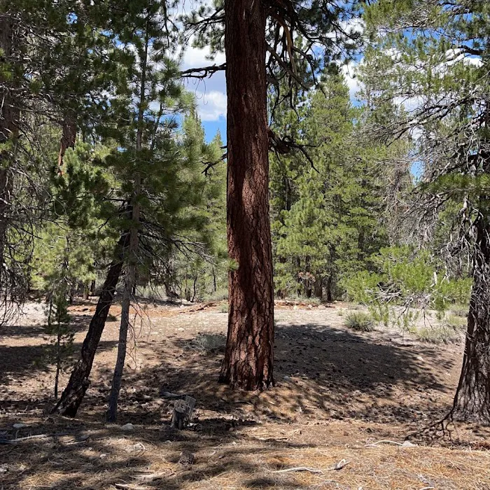 Upper Deadman Campground Picture 2