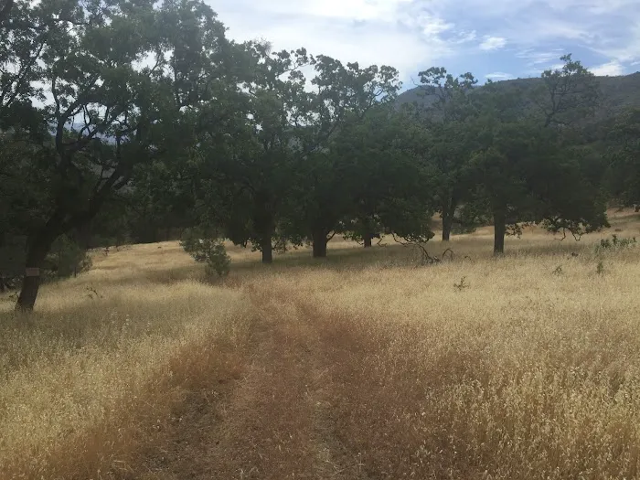 Sweetwater Campground Picture 9