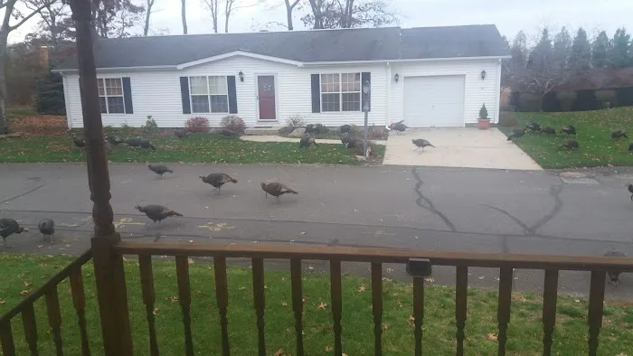 Foxwood Village Picture 5