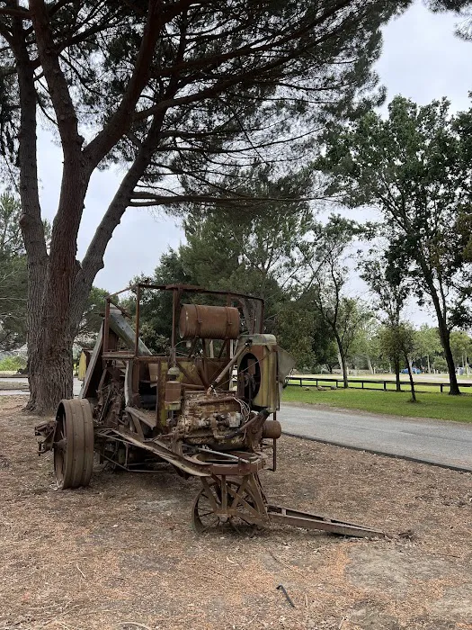 San Lorenzo Park Campground Picture 2