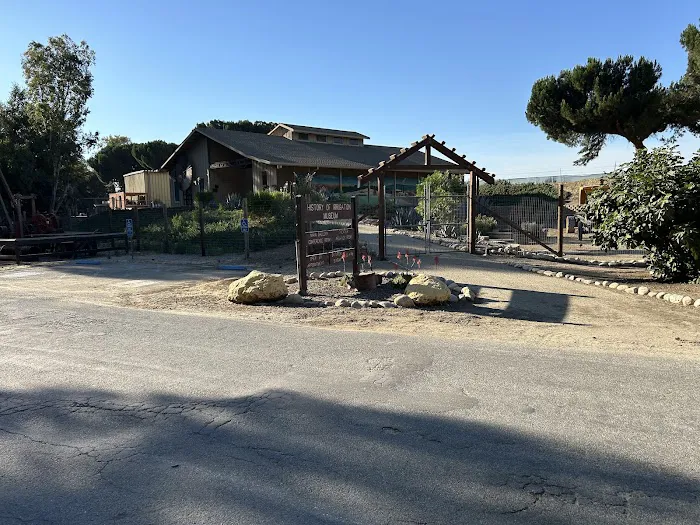 San Lorenzo Park Campground Picture 7