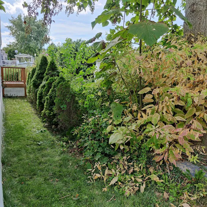 Lakewood Park LLC Picture 8