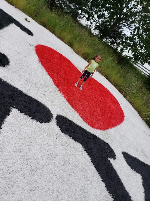 Lakewood Park LLC Picture 9