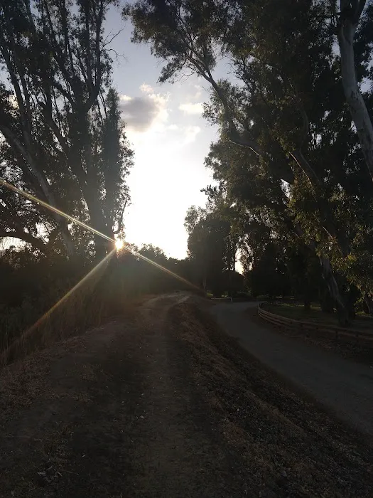 San Lorenzo Recreational Area and Campgrounds Picture 10