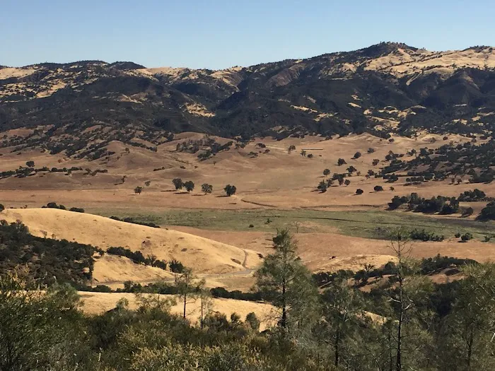 Laguna Mountain Picture 1