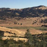 Laguna Mountain ico
