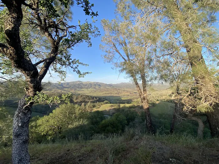 Laguna Mountain Picture 3
