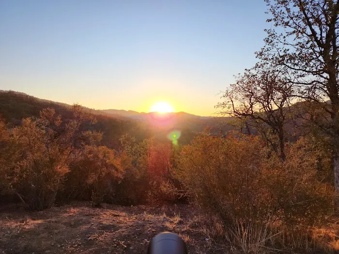 Laguna Mountain Picture 5
