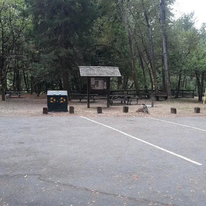Grizzly Creek Redwoods Campground Picture 3