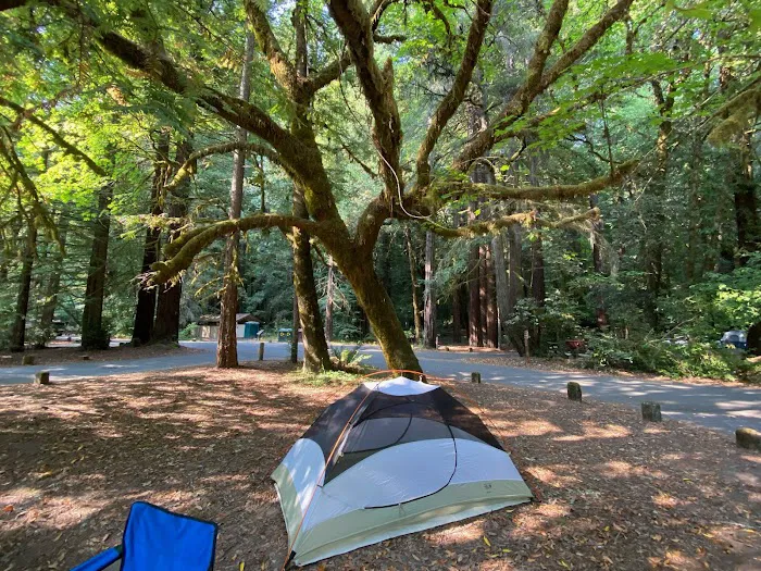 Grizzly Creek Redwoods Campground Picture 7