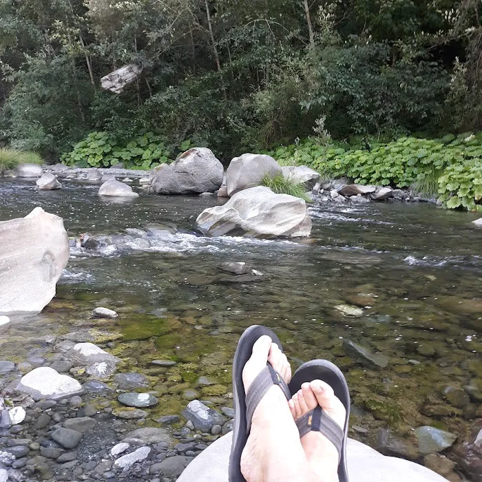 Grizzly Creek Redwoods Campground Picture 8