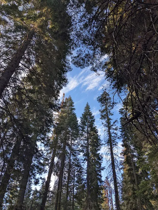 Sawmill Flat Campground Picture 1