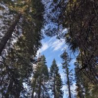 Sawmill Flat Campground ico