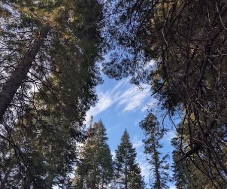 Sawmill Flat Campground