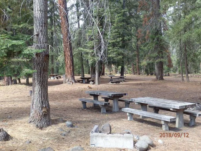 Sawmill Flat Campground Picture 4