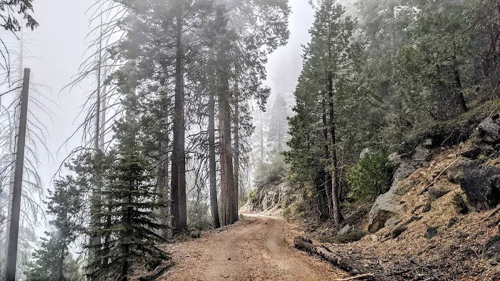 Black Rock Campground Picture 6