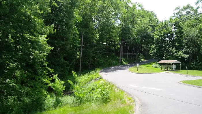 High Manor Picture 7