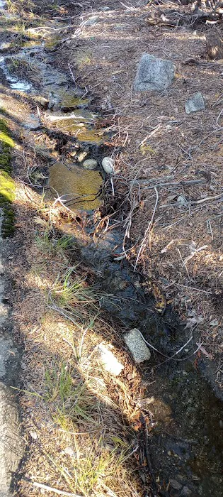 Lily Pad Campground Picture 1