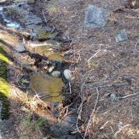 Lily Pad Campground ico