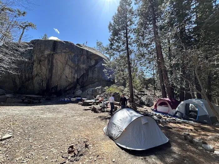 Lily Pad Campground Picture 8