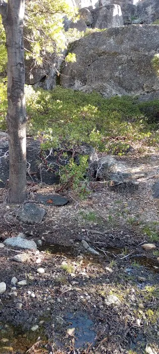 Lily Pad Campground Picture 7