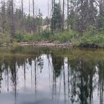 Upper Kings River PG&E group campsite