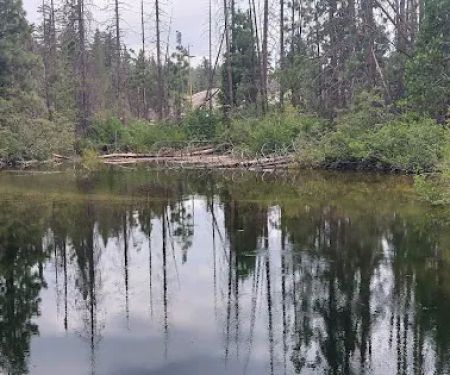 Upper Kings River PG&E group campsite