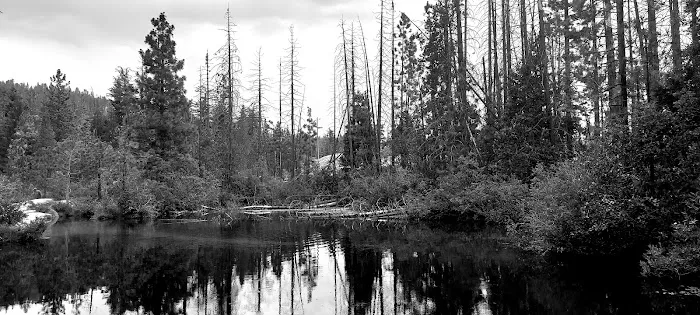 Upper Kings River PG&E group campsite Picture 5