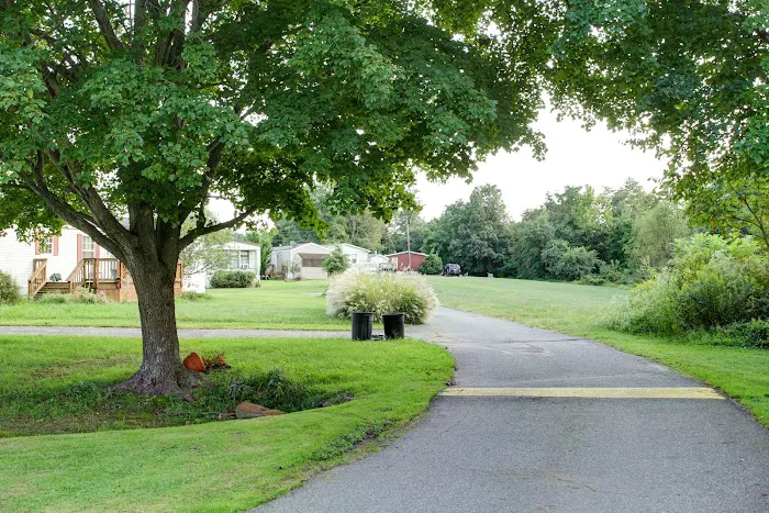 Forest View Village Picture 3