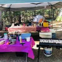 Trapper Springs Campground ico