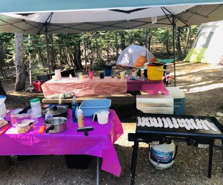 Trapper Springs Campground